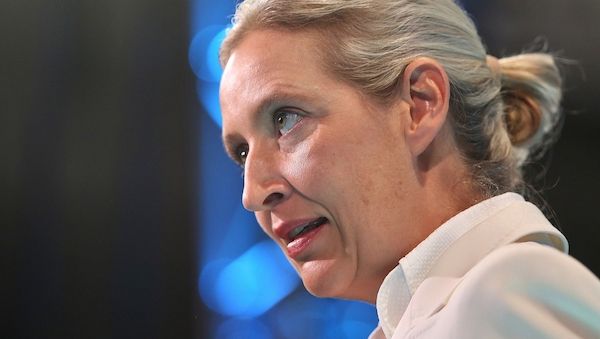 Weidel kritisiert Familienbild in Sachsen-Anhalter AfD-Wahlprogramm