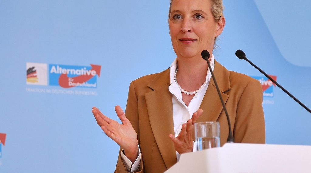 Brandmauer: AfD begrüßt Antrag aus Brandenburger Mittelstandsunion