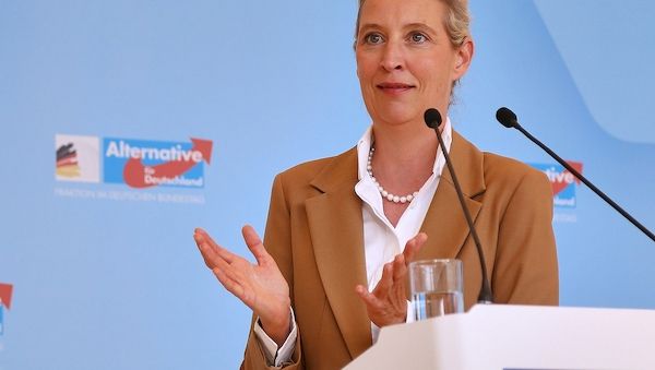Brandmauer: AfD begrüßt Antrag aus Brandenburger Mittelstandsunion