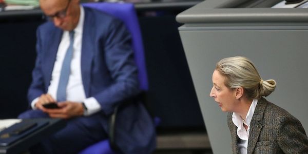 Ipsos: Union fällt auf tiefsten Stand seit 2022 - Rekord für AfD