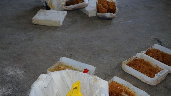 Zollfahndung hebt mutmaßliches Drogenlabor in Ludwigsfelde aus