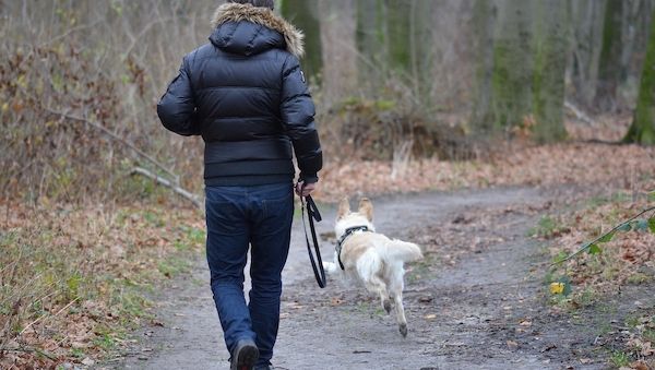ARAG Experten geben Tipps für den Urlaub mit Tieren