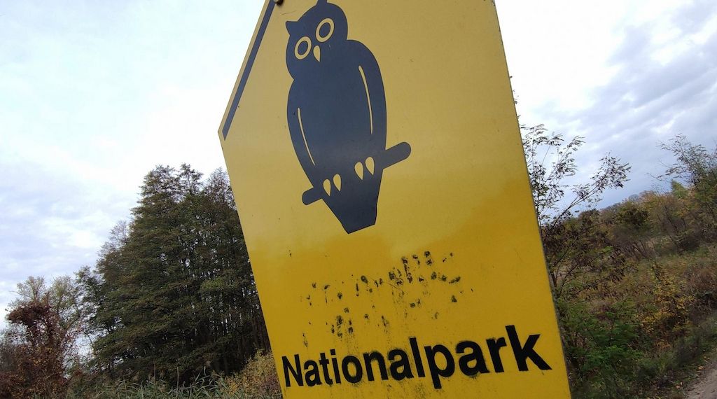 Waldbrand-Experte kritisiert Löschstrategie im Müritz-Nationalpark