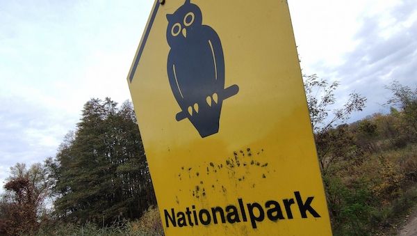Waldbrand-Experte kritisiert Löschstrategie im Müritz-Nationalpark