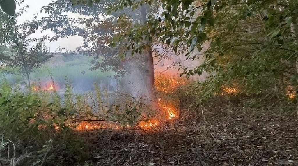 Vegetationsbrand in Dortmund unter Kontrolle