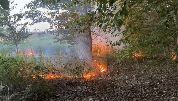 Vegetationsbrand in Dortmund unter Kontrolle