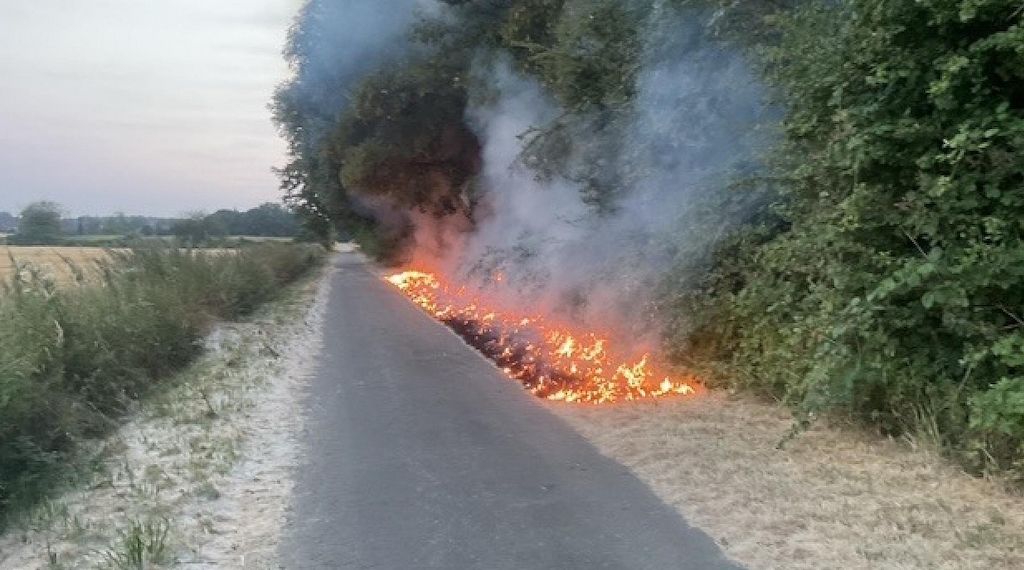Feuerwehr Dortmund löscht Vegetationsbrand in Lanstrop