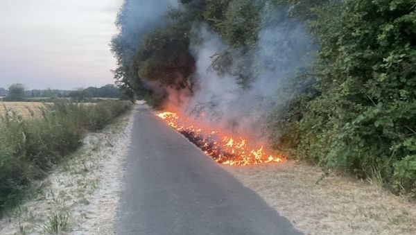 Feuerwehr Dortmund löscht Vegetationsbrand in Lanstrop