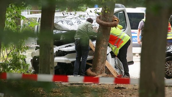 Rufe nach härteren Strafen für Islamisten nach CSD-Anschlag