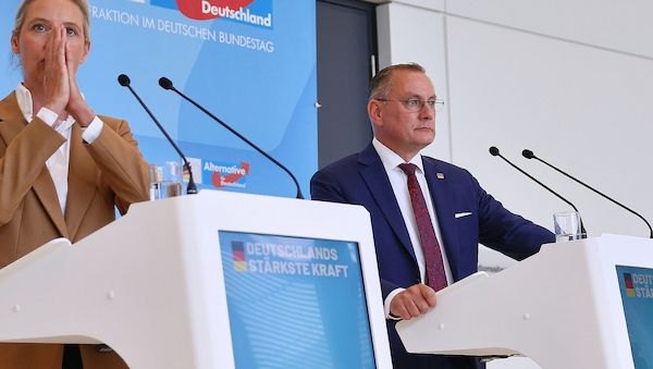 Forsa: AfD erreicht neuen Höchststand