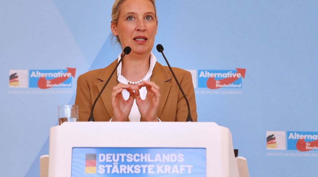 AfD will Fünf-Prozent-Hürde ersatzlos streichen