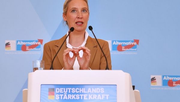 AfD will Fünf-Prozent-Hürde ersatzlos streichen