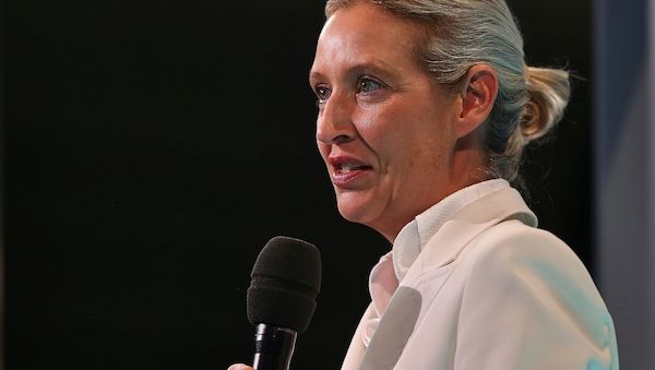 Politbarometer: AfD legt zu - Grüne und Linke verlieren