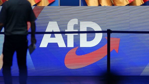 Ex-Verfassungsrichter warnt vor "kleinem Parteiverbot" der AfD