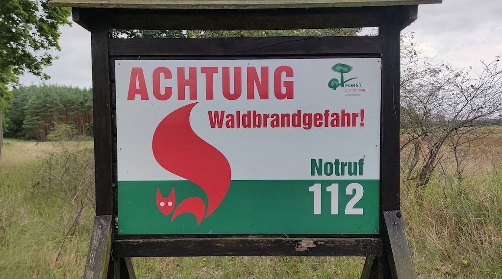 Grüne fordern nationale Feuermanagementstrategie