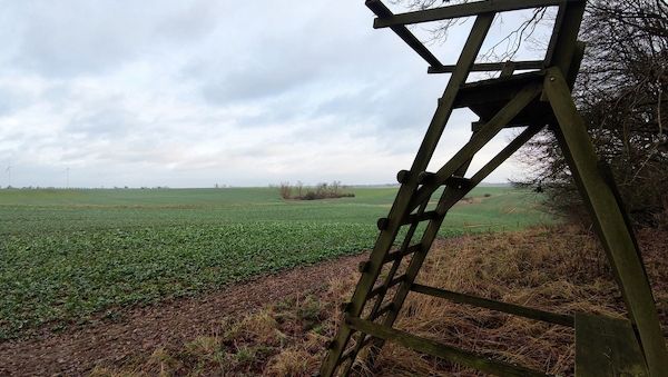 Jagdverband fordert mehr Einsatz gegen illegale Waffen