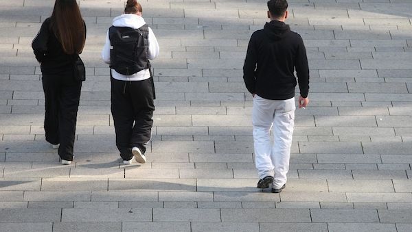 Linke kritisiert Vorbereitungen für neuen Zivildienst