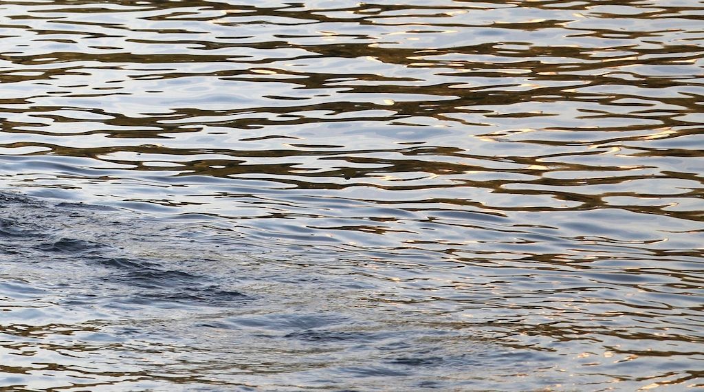 BUND kritisiert Niedrigwasserkonferenz ohne Umweltverbände