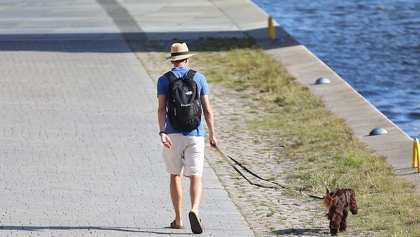 Wetterbericht für Niedersachsen/Bremen (09.08.2026)