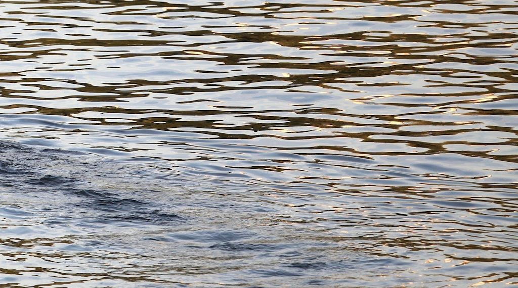 23-Jährige nach Badeunfall in Bestensee gestorben