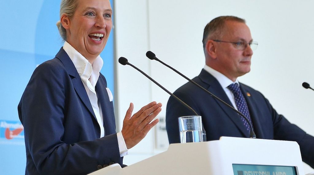 Forsa: AfD bleibt auf Rekordkurs - Merz auf Allzeit-Tief