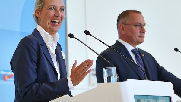 Forsa: AfD bleibt auf Rekordkurs - Merz auf Allzeit-Tief