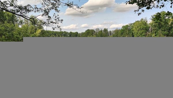 Wetterbericht für Berlin/Brandenburg (12.08.2026)