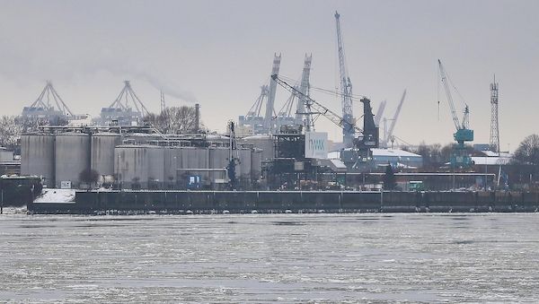 Hamburger Rote Liste der Fische zeigt Artenschutzerfolge und Druck auf Wanderfische