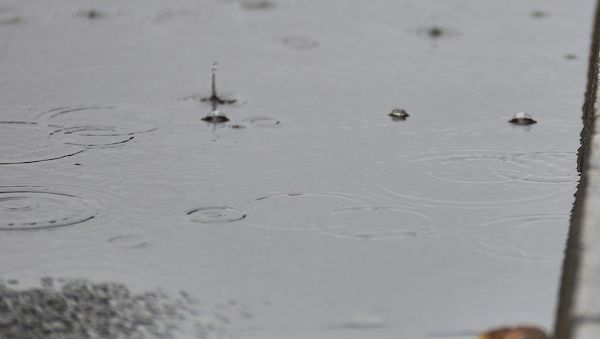 Wetterbericht für Schleswig-Holstein/Hamburg (29.08.2026)