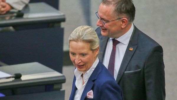 Forsa: AfD bleibt deutlich vor Union