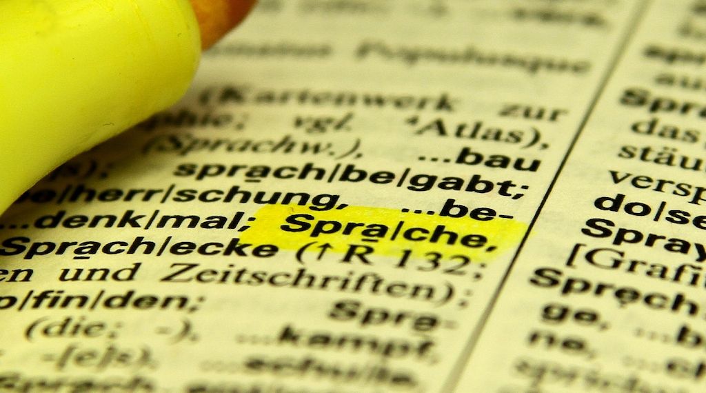 Grüne fordern mehr Geld für Sprachförderung
