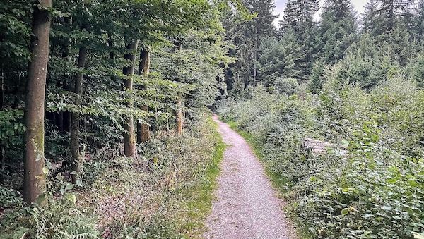 Umweltministerium: Artenschutz in Nordrhein-Westfalen zeigt Wirkung