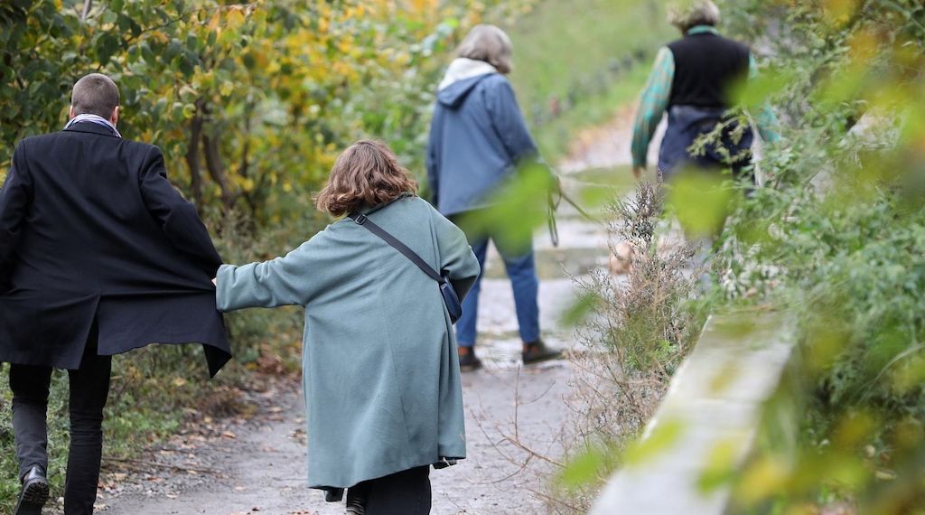 Bildungsunterschiede bei jüngeren Paaren geringer als bei älteren