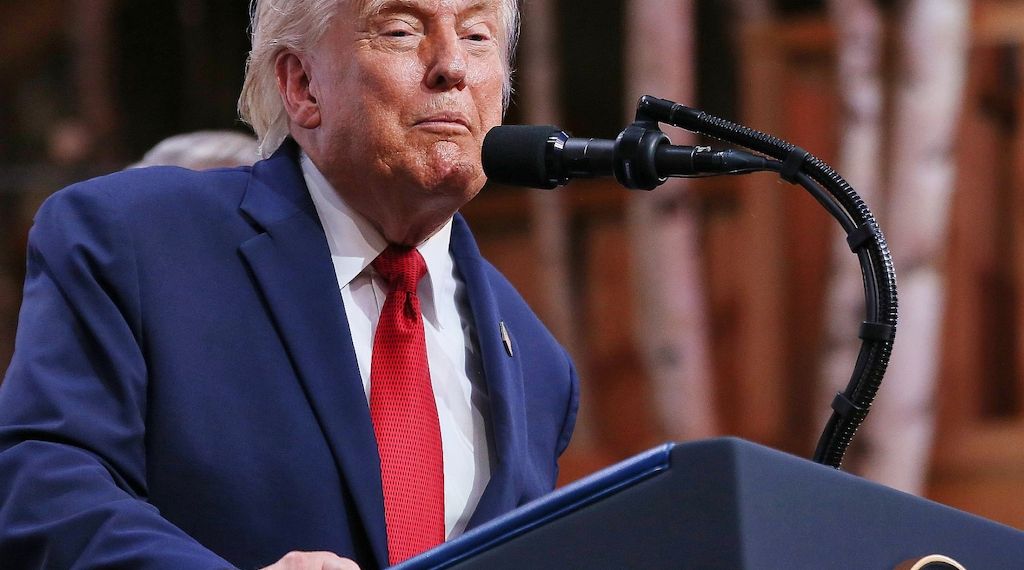 Bundesregierung weist Trumps Ratschläge zur AfD zurück