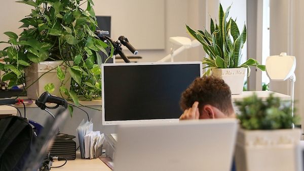 Beamtenbund warnt Sachsen-Anhalts künftige Regierung