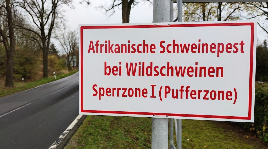 Angespannte wirtschaftliche Lage der Schweinehalter in Brandenburg