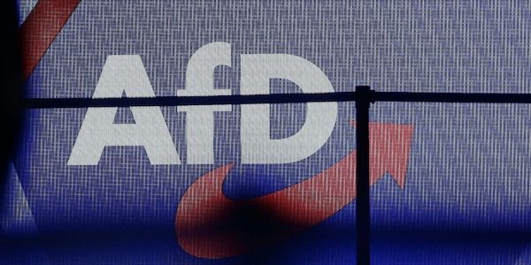 Ökonomen warnen vor AfD-Regierung