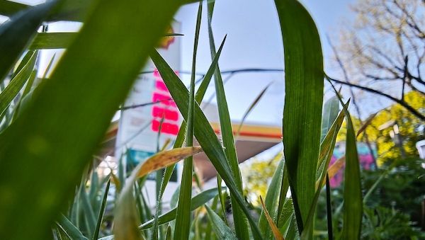 Ökonomen und Verbände uneins über Tankrabatt