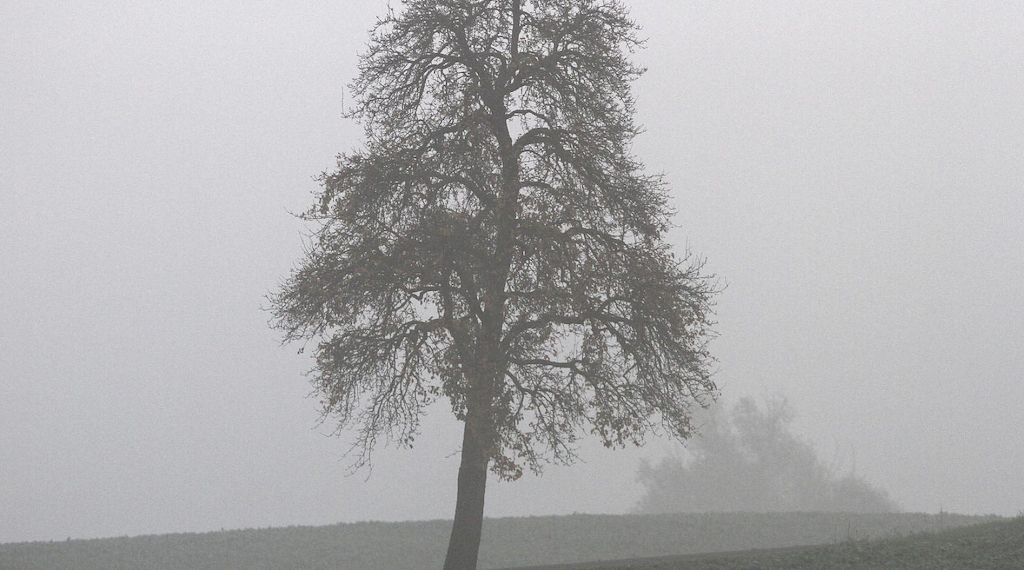 Wetterbericht für Nordrhein-Westfalen (21.09.2026)