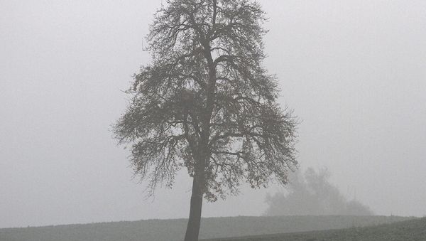 Wetterbericht für Nordrhein-Westfalen (21.09.2026)