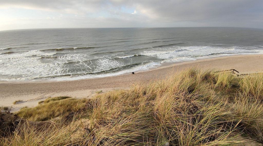 Wetterbericht für Schleswig-Holstein/Hamburg (23.09.2026)