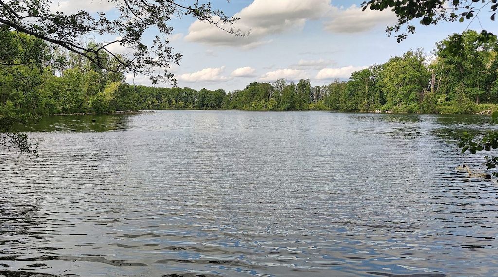 DLRG verzeichnet mehr tödliche Wasserunfälle in Badesaison