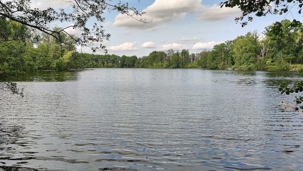 DLRG verzeichnet mehr tödliche Wasserunfälle in Badesaison