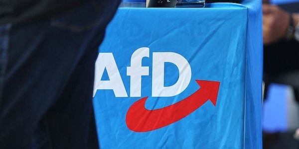 Umfrage: Vertrauen in politisches System unter AfD-Anhängern gering