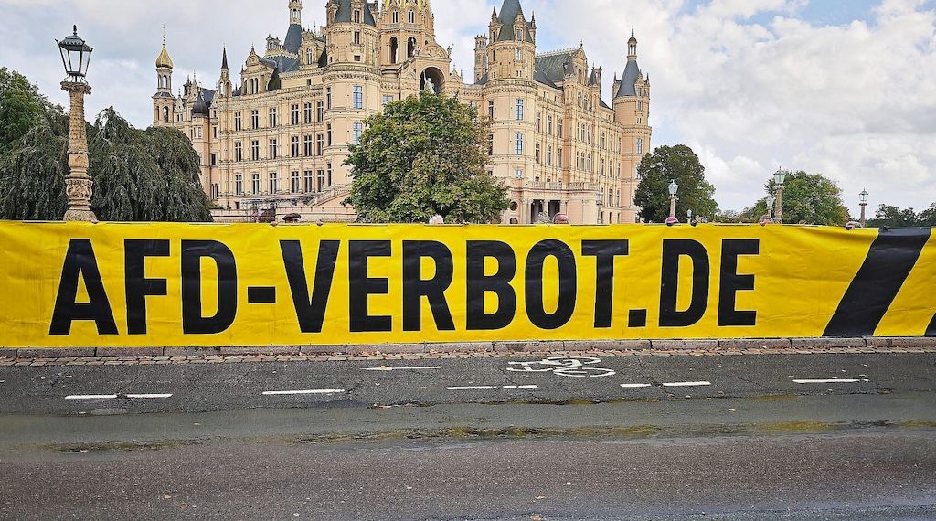 Ex-Verfassungsrichter: Russland-Kontakte für AfD-Verbot relevant