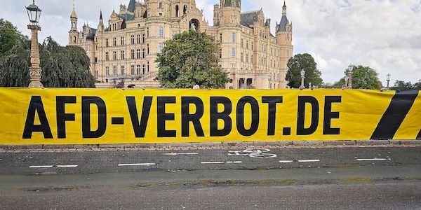 Ex-Verfassungsrichter: Russland-Kontakte für AfD-Verbot relevant