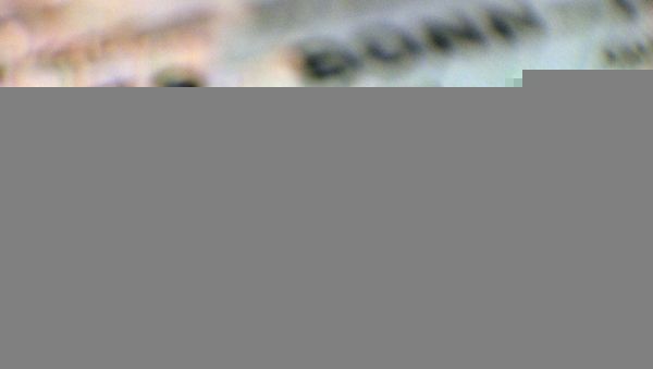 Papier beklagt Lücke im Grundgesetz bei Einbürgerungen