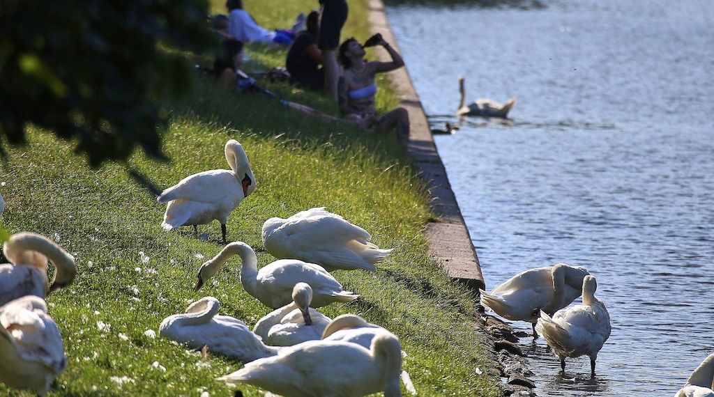 DWD: September ungewöhnlich warm und im Südwesten extrem trocken