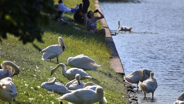 DWD: September ungewöhnlich warm und im Südwesten extrem trocken
