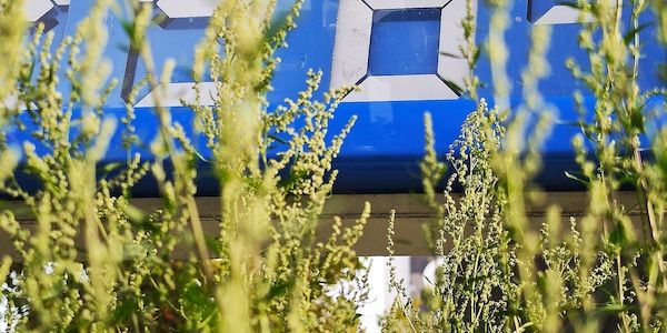 Produktion von Benzin und Diesel im 1. Halbjahr 2026 gestiegen